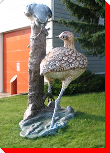 Long Billed Curfew - Leader, Saskatchewan