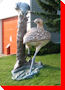 Long Billed Curfew - Leader, Saskatchewan
