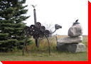 Camel - Love, Saskatchewan