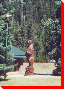 Bear - Manning Park, British Columbia