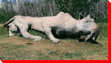 Saber Tooth Tiger - Martinsville, Saskatchewan