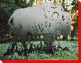 Metal Buffalo - Melville, Saskatchewan