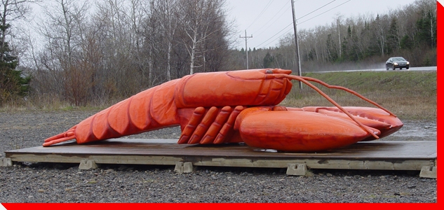 Lobster - Michael's Harbour, Newfoundland and Labrador