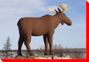 Mac the Moose - Moose Jaw, Saskatchewan