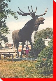 Max the Moose - Dryden, Ontario