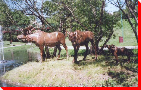 Moose Family - Moose Jaw, Saskatchewan