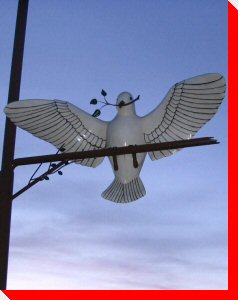 Dove - Myrnam, Alberta