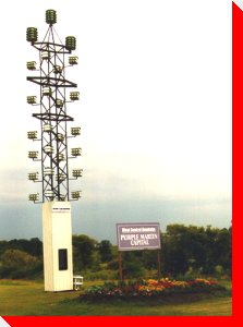 World's Largest/Tallest Purple Martin Colony - Neepawa, Manitoba