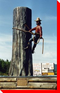 Upper Skeena Logger - New Hazelton, British Columbia