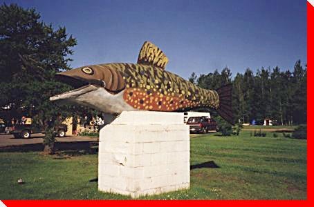 Trout - Nipigon, Ontario