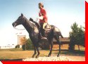 Northwest Mounted Police - Redvers, Saskatchewan