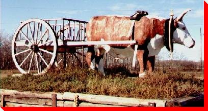 Ox and Cart - Oak Lake, Manitoba