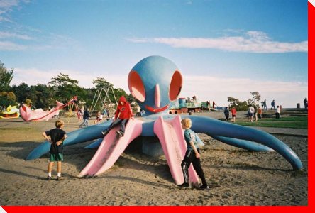 Octopus - Victoria, British Columbia