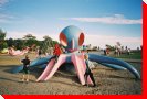Octopus - Victoria, British Columbia