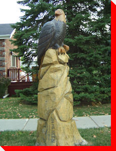 Eagle - Orangeville, Ontario