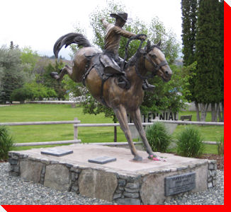 Cowboy - Okanagan Falls, British Columbia