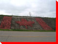 Large Canadian Flag - Oxbow, Saskatchewan
