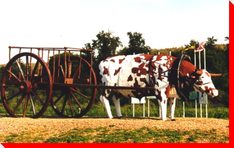 Ox and Cart - Paradise Hill, Saskatchewan