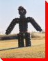 Tire Man - Prince Albert, Saskatchewan