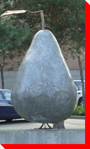 Pear - Kelowna, British Columbia