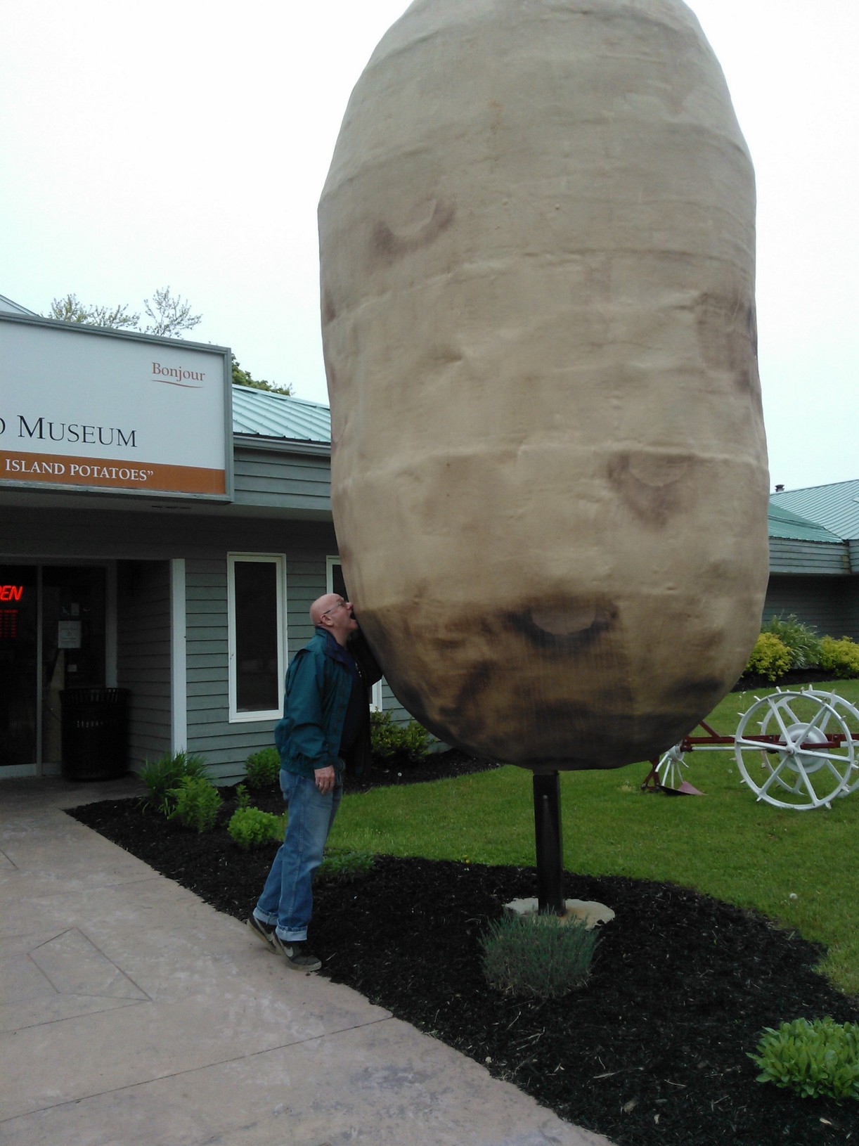 Potato - O'Leary, Prince Edward Island