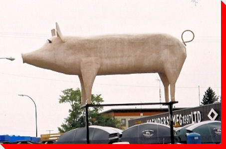 World's Largest Pig (maybe) - Englefeld, Saskatchewan