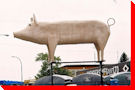 World's Largest Pig (maybe), - Englefeld, Saskatchewan