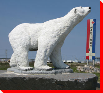 Polar Bear - Churchill, Manitoba