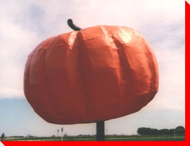 Pumpkin - Roland, Manitoba