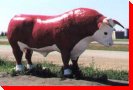 Red Bull - Radisson, Saskatchewan