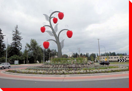 Giant Raspberries - Abbotsford, British Columbia