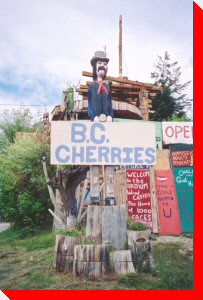 Wooden Man - Radium Hot Springs, British Columbia