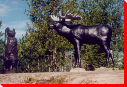 Bear and Moose - Rocksville, Ontario