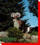 Rocky - the Big Horn Mountain Sheep - Grande Cache, Alberta