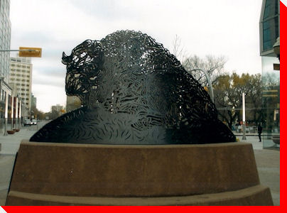 Wire Buffalo - Regina, Saskatchewan