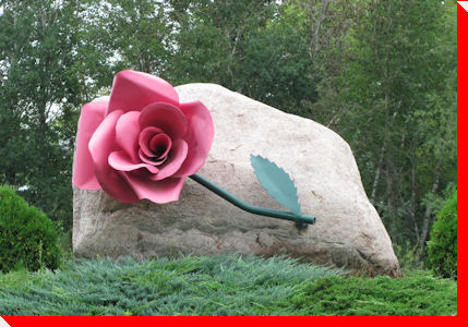 Rose - Sandy Lake, Manitoba