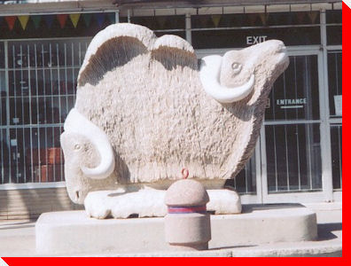 Two Headed Buffalo - Saskatoon, Saskatchewan