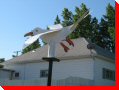 Sea Gull - Gull Lake, Saskatchewan