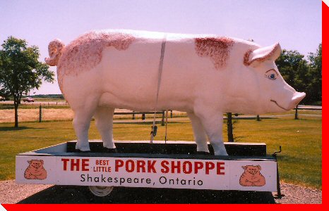 Large Pig - Shakespeare, Ontario