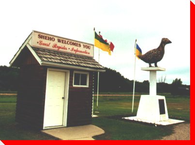 Sharptailed Grouse - Sheho, Saskatchewan