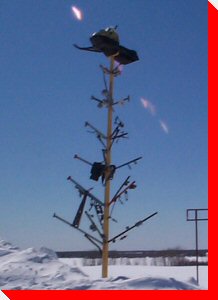 Skidoo Tree - Val Gagn�, Ontario