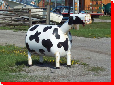 Mailbox Cow - Smithville, Ontario