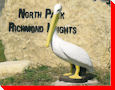 Pelican - Saskatoon, Saskatchewan