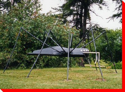 Spider - Pierceland, Saskatchewan