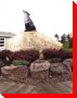 Wolf - Spiritwood, Saskatchewan