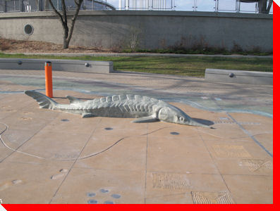 Sturgeon  - Saskatoon, Saskatchewan