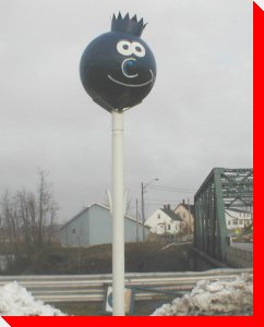 Blueberry - St. George, New Brunswick