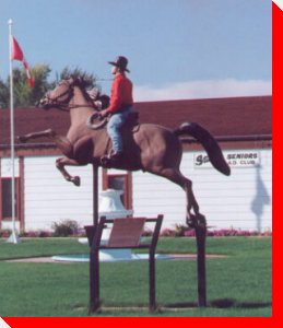 Cowboy and Horse - Sturgis, Saskatchewan