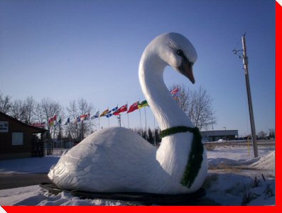 Swan - Swan River, Manitoa