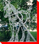 Wire Horse - Saskatoon, Saskatchewan